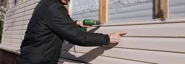 Best Vinyl Siding Installation  in Occidental, CA